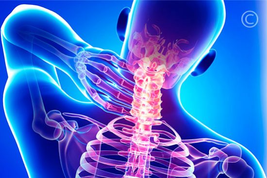 Head and Neck Surgery